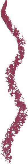 A vertical line made of small red particles on a white background, with black areas on both sides.