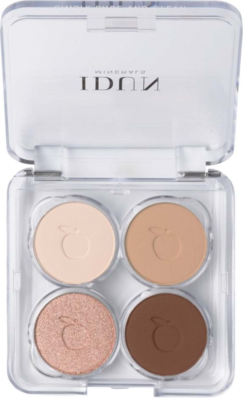 A clear makeup case holds four round eyeshadow pans in cream, beige, pink, and brown shades.