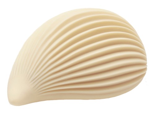 Ein Muschel mit gerippten Linien, cremefarben, und einer glatten, gebogenen Form.