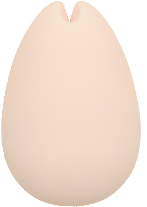 Ein glatter, ovalförmiger Gegenstand mit einer kleinen Kerbe oben, ähnelt einer Eierschale.
