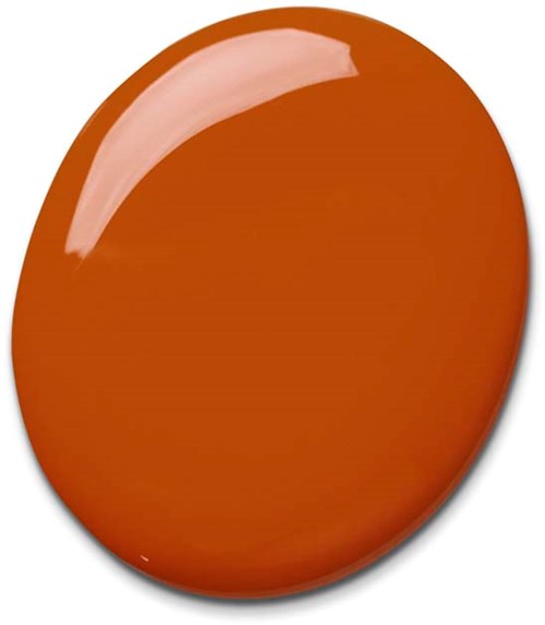 A shiny, round, brownish-orange surface, smooth with a reflective highlight on the top left.