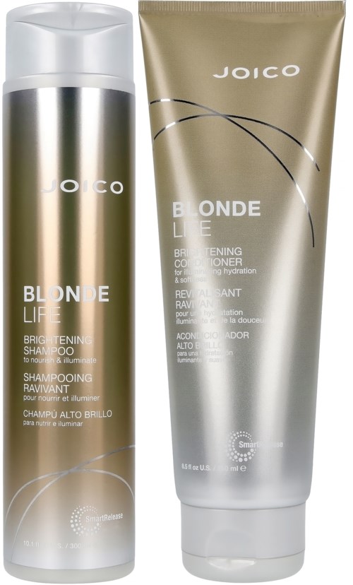 Zwei Haarpflegeprodukte, eines ist Shampoo und das andere Conditioner, beide in Silber- und Beigetönen.