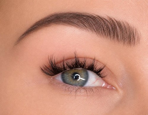 Close-up of a woman's eye with makeup, showing long eyelashes and well-groomed eyebrow.