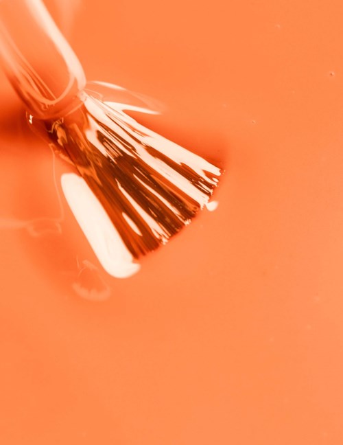 A paintbrush with white paint on it touches orange surface. The background is orange.