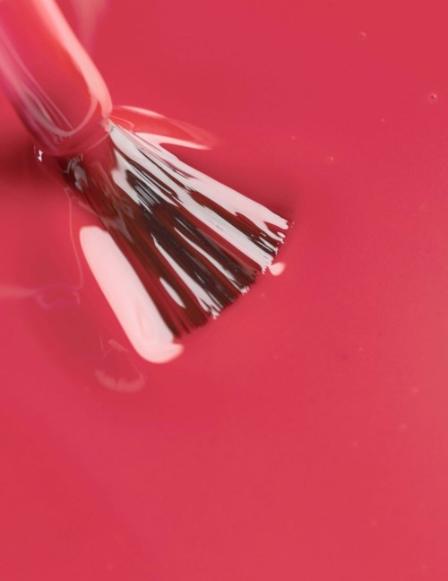 A paintbrush dipped in pink paint, with liquid in the background.