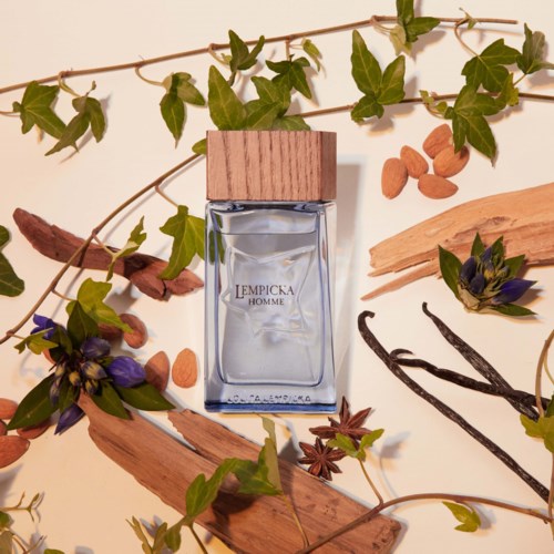 A perfume bottle surrounded by green leaves, wooden sticks, almonds, star anise, and purple flowers.