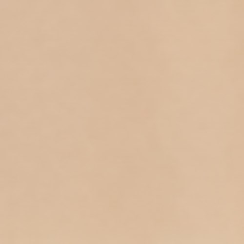 Bilden är en enkel beige bakgrund utan föremål eller text.