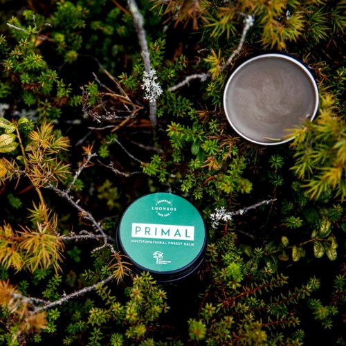 Ein Behälter mit Waldbalsam und offener Deckel inmitten grüner Pflanzen und Sträuchern.