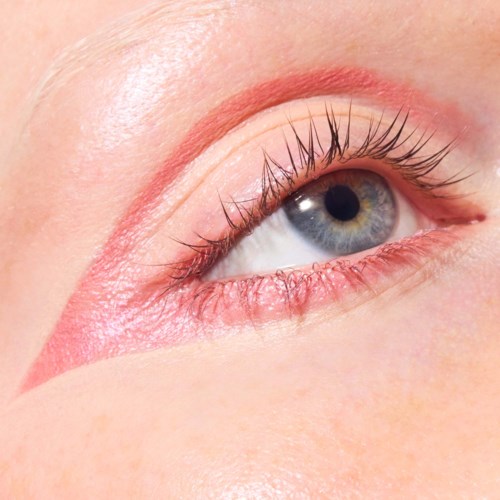 Close-up of a blue eye with makeup, showing eyelashes and skin texture.