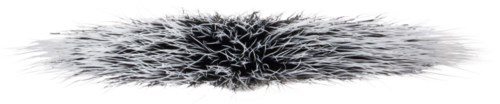 nærbilde av en svart og hvit fluffy makeupbørste med spredte børster.