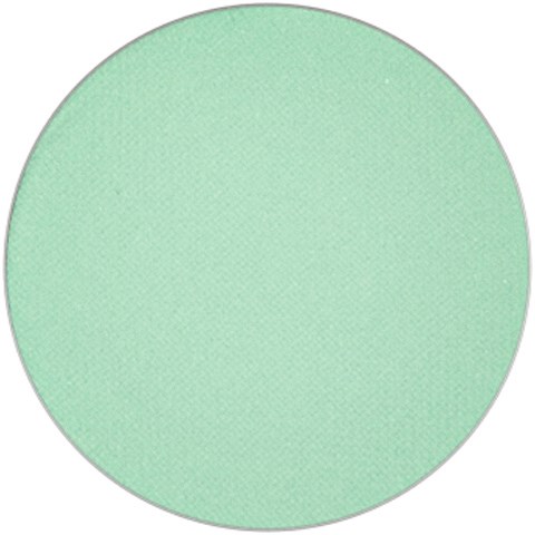 A simple, light green circle with no additional details or text.