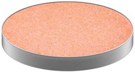A round orange disk with a textured surface, bordered with a gray edge.