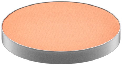 A round, flat object with an orange top and silver sides.
