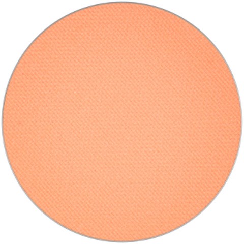 This is a solid round peach-colored circle with a textured surface.