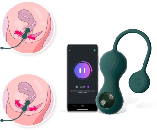 Ein Sexualerlebnisgerät mit Fernbedienung, Smartphone-App und zwei Diagrammen zur Darstellung der Anwendung.