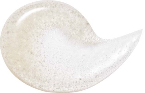 Ein weißes Muschel mit glatter, gebogener Form und leicht strukturierter Oberfläche.