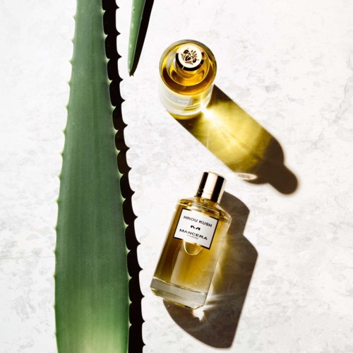Een grote aloe plantblad naast twee kleine parfumflesjes op een witte ondergrond met schaduwen.