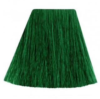 A green, cone-shaped grass brush with long, straight strands, wider at the bottom and narrower at the top.