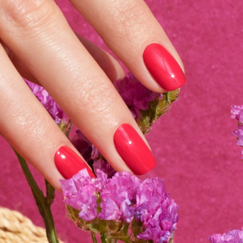 Hand with red nails touching purple flowers on a pink background.