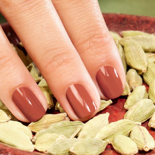 Close-up of a hand with freshly painted, shiny brown nails resting on green cardamom pods.