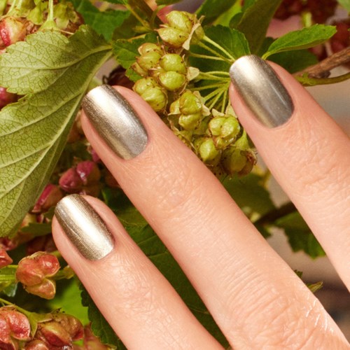 Three fingers with metallic silver nail polish touch green grape leaves and bunches of grapes.