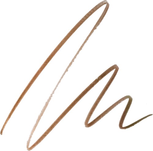 Eine braune, geschwungene und wellige Linie auf weißem Hintergrund, die einer handgeschriebenen Unterschrift oder Pinselstrich ähnelt.