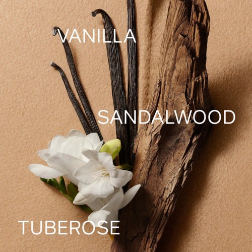 Illustrasjon av duftingredienser vanilje, sandeltre og tuberose med vaniljestang, sandeltrebit og hvite blomster.