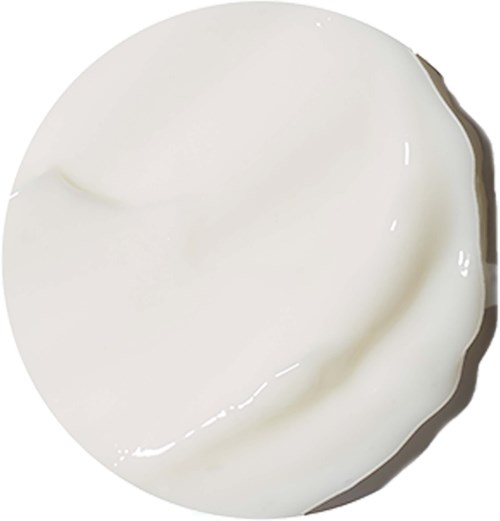 A small, round dollop of white cream on a white surface, with a slight curve and shiny appearance.