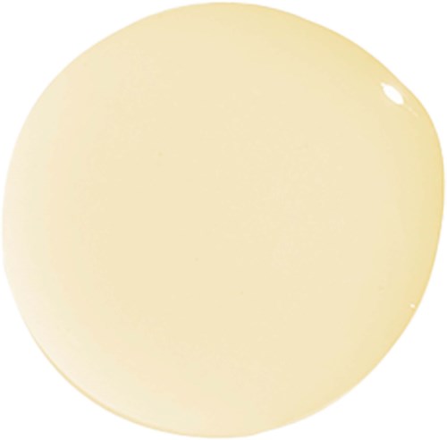 A shiny, pale yellow circle with a small bright reflection in the upper right.