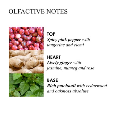 En lista med titeln 'Olfactive Notes' med beskrivningar av rosapeppar, ingefära och patchouli. Varje not har en bild och detaljer.