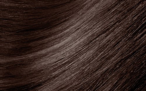 Shiny brown hair flowing smoothly with light reflections, soft and well-kept.