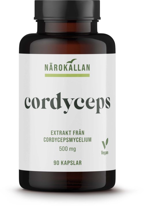 En kosttillskottsflaska märkt 'Cordyceps' från varumärket Narokallan, med 90 kapslar, vegansk, 500 mg per extrakt.