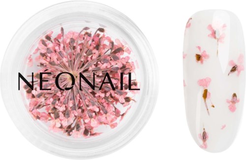 Pink flower-shaped nail decoration in a clear container, shown with a nail painted with pink and white flowers.