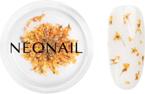 A jar with orange flowers inside and a nail displaying similar floral patterns on a white background.