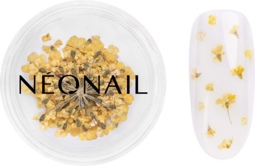 Gold flower-shaped studs inside a clear container. A white nail with small yellow flowers and leaves design.