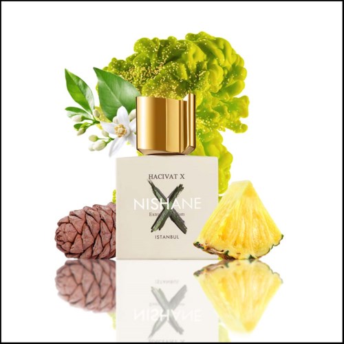 Een fles met "HACIVAT X NISHANE" met ananas, groene bladeren, een bloem, dennenappel en een groene sculptuur erachter.