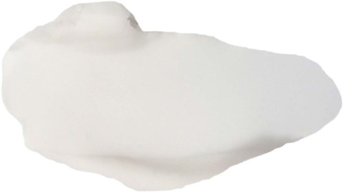 Een witte, abstracte vorm met een glad oppervlak, mogelijk een sculptuur of penseelstreek.