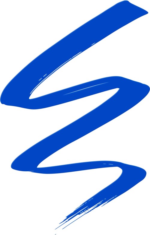 Blue stylized Z shape, looks like a brushstroke or logo.