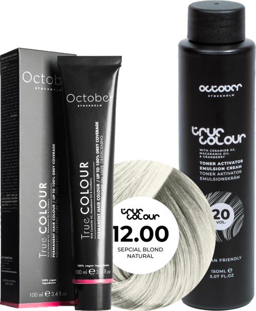 Black shampoo bottle, tube, box and blonde hair dye product set for hair coloring.