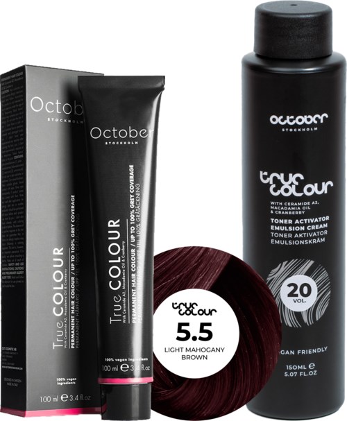 A black shampoo bottle, a black box, and a dark red hair dye circle with labels, all from Octobe brand.