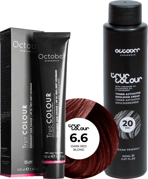 Black hair care products: a box, a tube, and a bottle, with labels indicating they are from OctaB for dark Red blond.