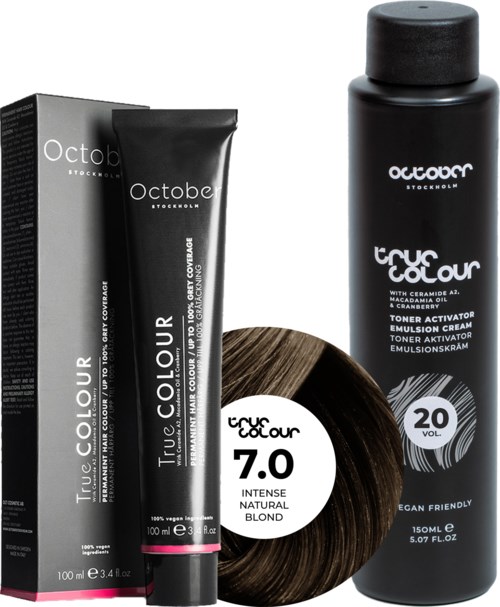Black and white hair dye products with labels, a round hair color sample, and a black bottle.