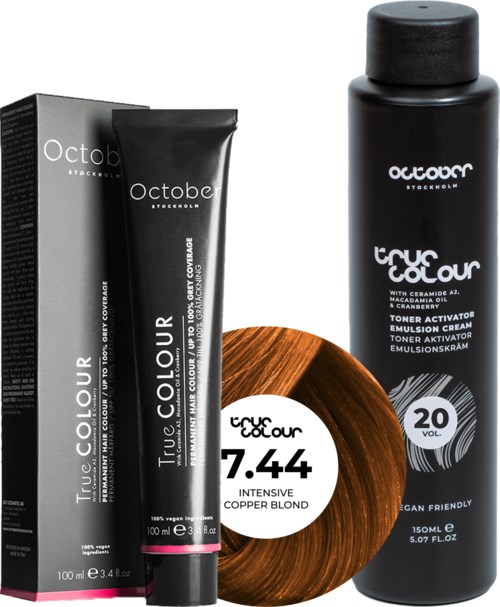 A box and tube of hair dye, a bottle of toner, and a hair color sample. The products are black and brown.