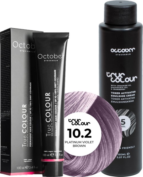Black hair dye products, including a tube, a box, and a bottle, with purple hair color palette and branding details.