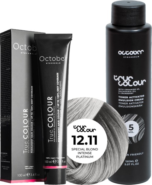 Black hair dye product with packaging, a hair color circle, and a black toner spray bottle.