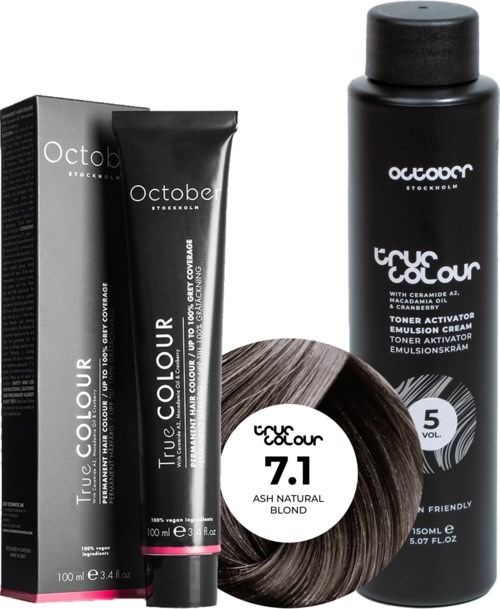 Hair dye products including a box, tube, and bottle with hair color and volume details.