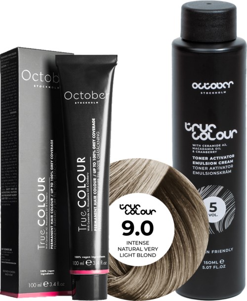 Black hair dye box and tube, with a hair swatch showing light blonde color, and a large black bottle for toner.