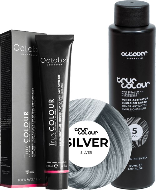 Hair dye packaging including a box, tube, bottle, and color sample labeled 'Silver' and 'True Colour'.