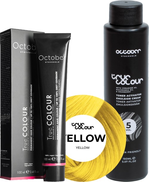 Two hair dye products, one in tube and one spray, with yellow hair color circle and black packaging.