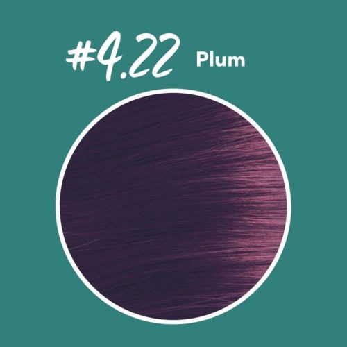 Kleur van pruim, donkerpaars tint, eenvoudige cirkel met tekst, achtergrond teal.